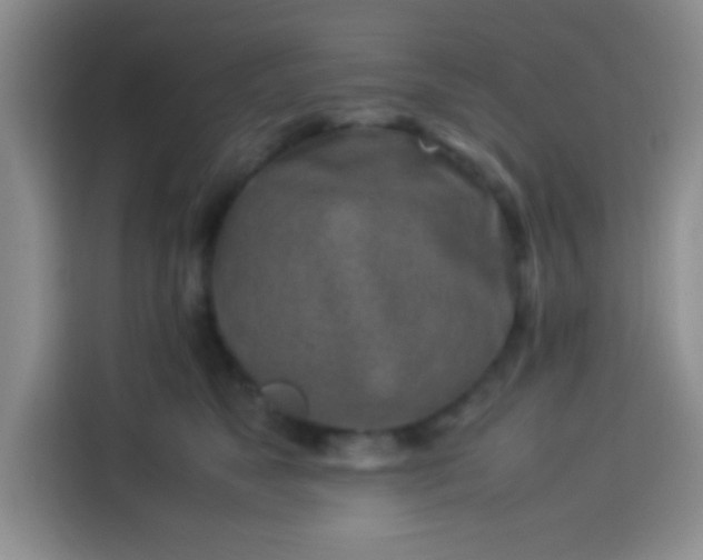 X0000113540517200910021352