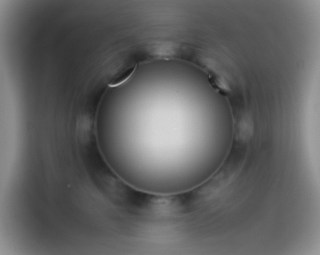 X0000113540521200910021352