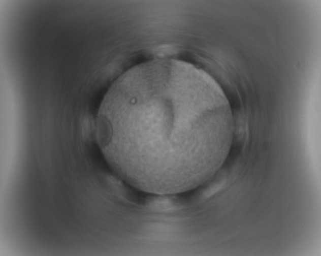 X0000113540523200910021352