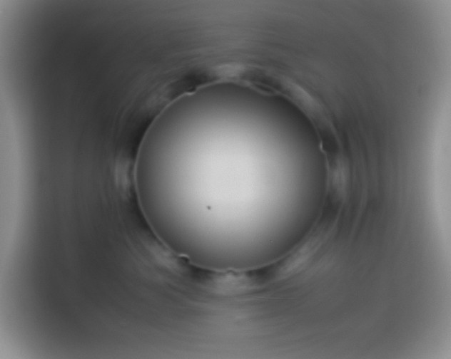 X0000113540525200910021352