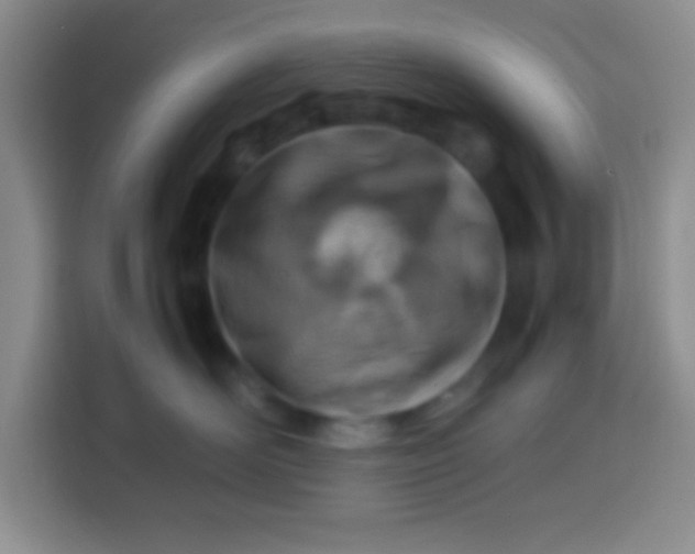 X0000113540526200910021352