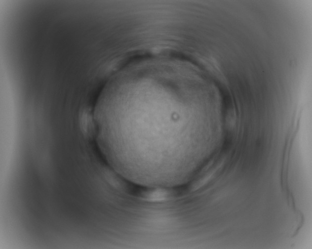 X0000113540527200910021352