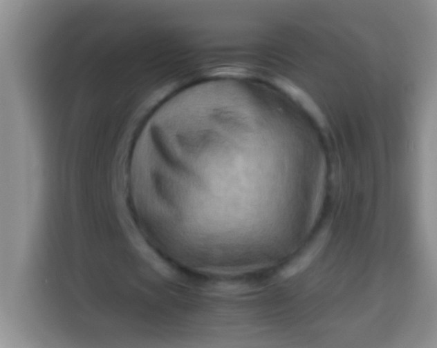 X0000113540529200910021351