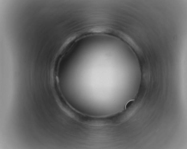 X0000113540530200910021351