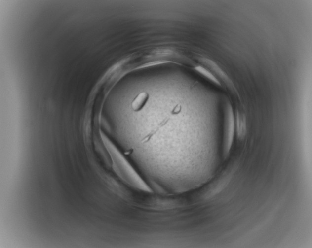 X0000113540531200910021351