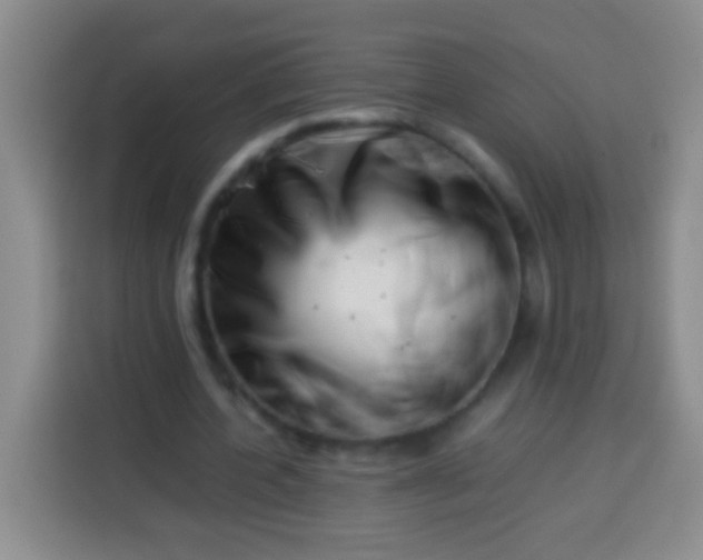 X0000113540532200910021351