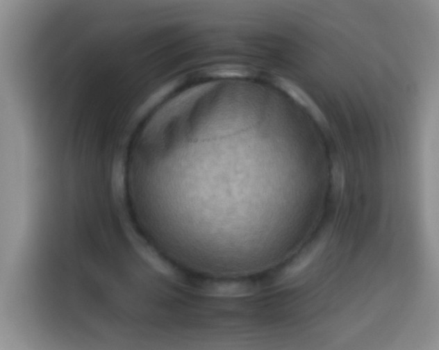 X0000113540533200910021351