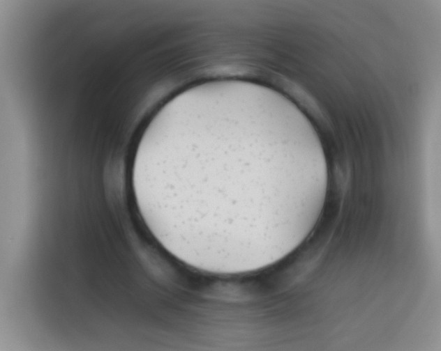 X0000113540534200910021351