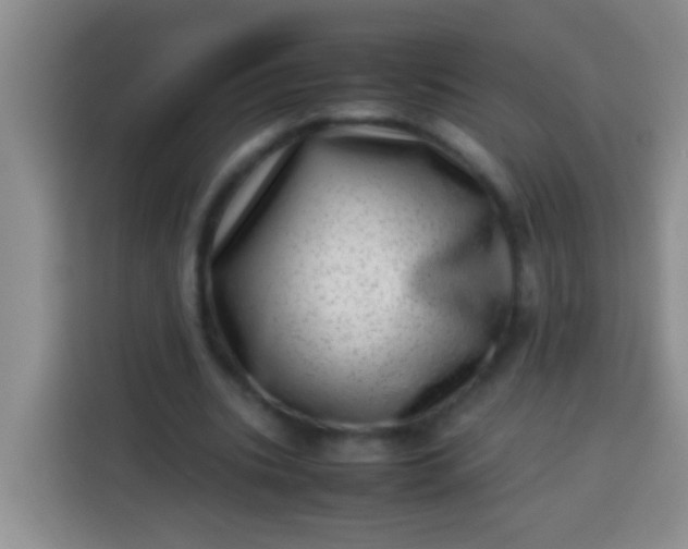 X0000113540535200910021351