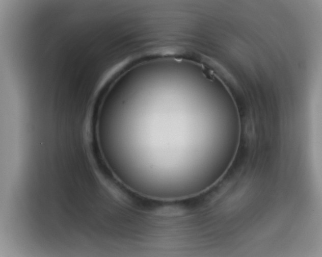 X0000113540536200910021351