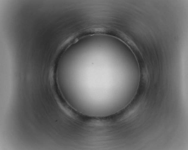 X0000113540538200910021351