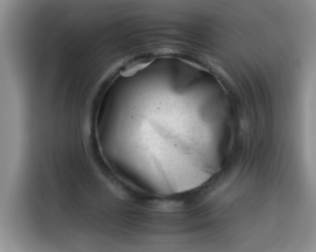 X0000113540539200910021351