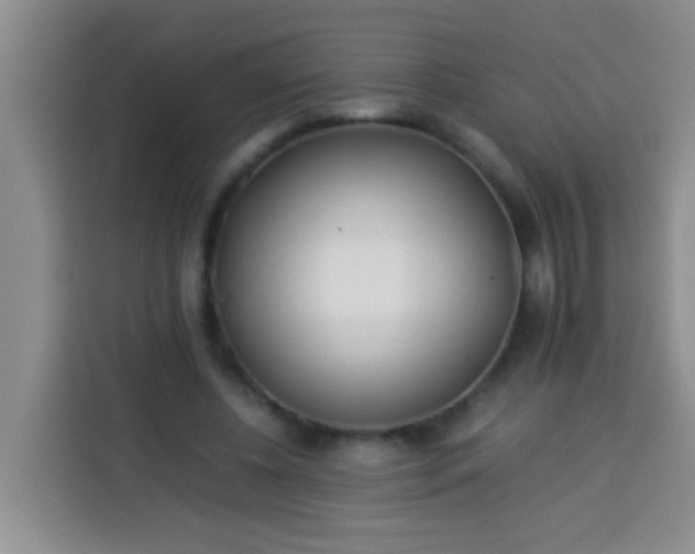 X0000113540540200910021351