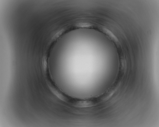 X0000113540541200910021351