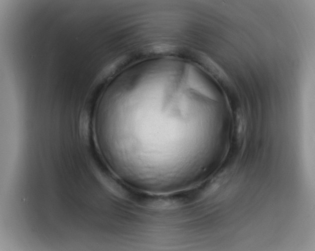 X0000113540542200910021351