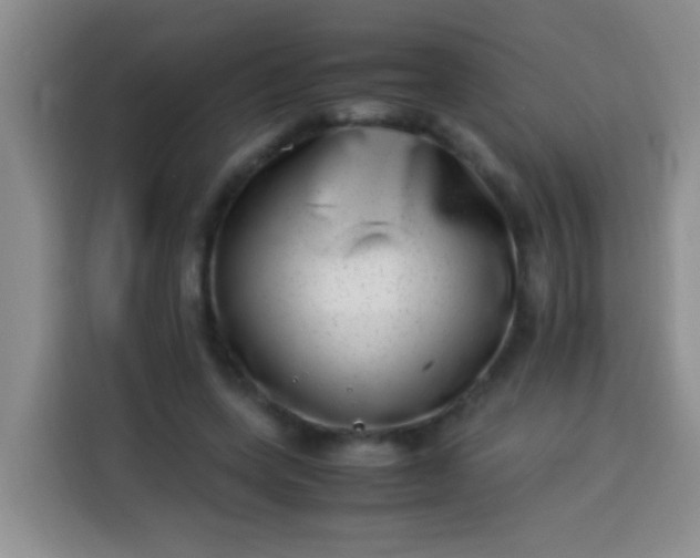 X0000113540543200910021351