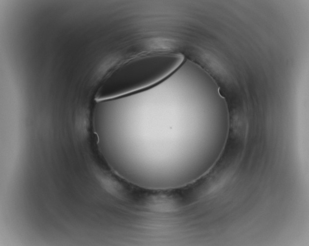 X0000113540544200910021351