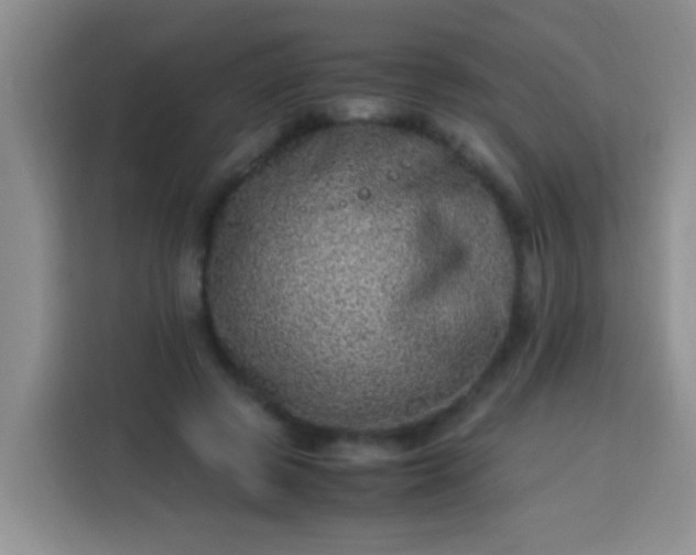 X0000113540545200910021351