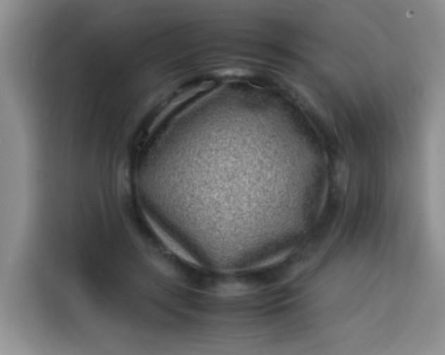 X0000113540547200910021351