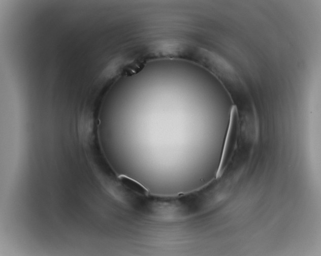 X0000113540548200910021351