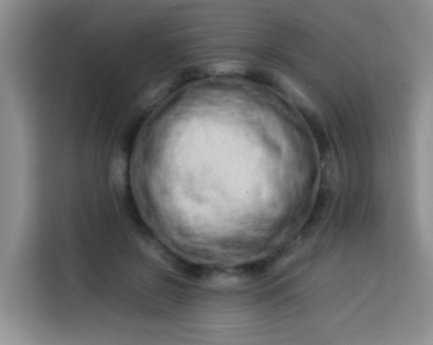 X0000113540550200910021351