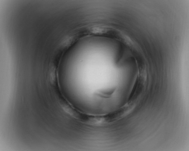 X0000113540554200910021351