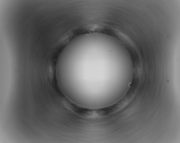 X0000113540558200910021352