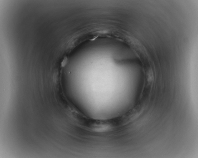 X0000113540559200910021352