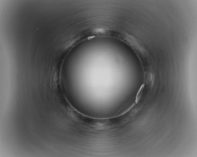 X0000113540560200910021352