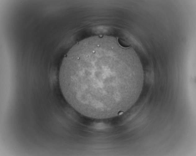 X0000113540561200910021352