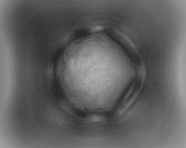 X0000113540565200910021352