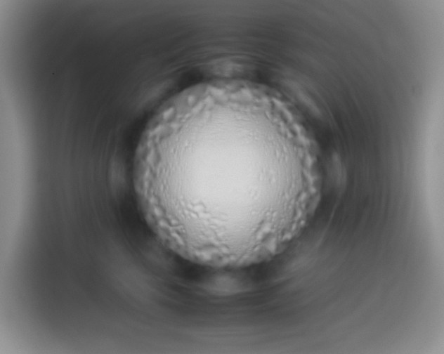 X0000113540569200910021352