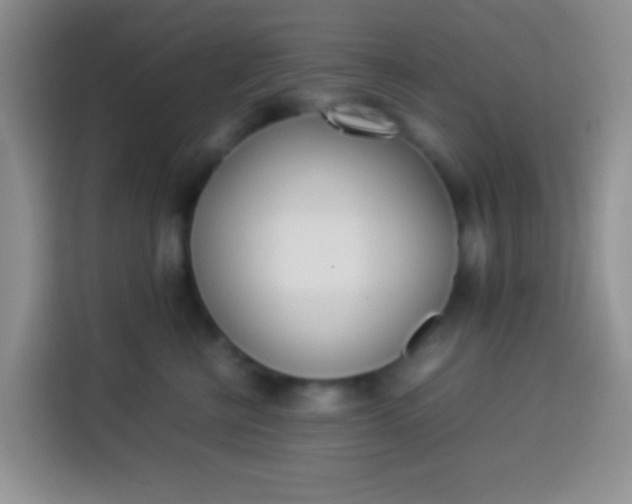 X0000113540570200910021352