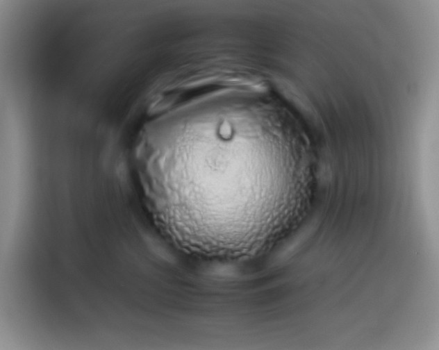 X0000113540573200910021352