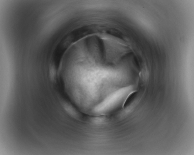 X0000113540574200910021352