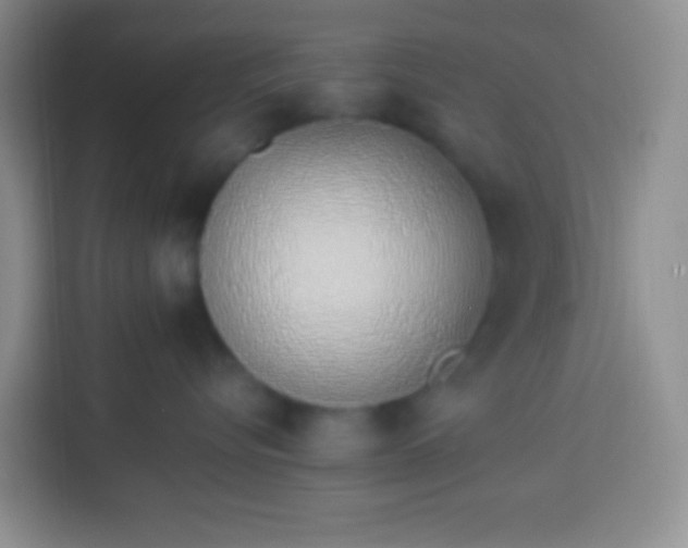 X0000113540576200910021352