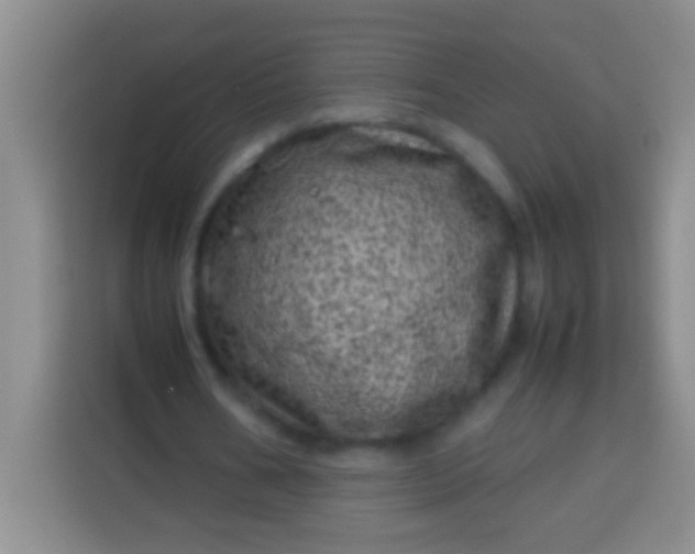 X0000113540578200910021351