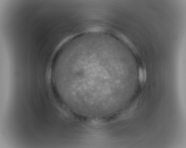 X0000113540579200910021351