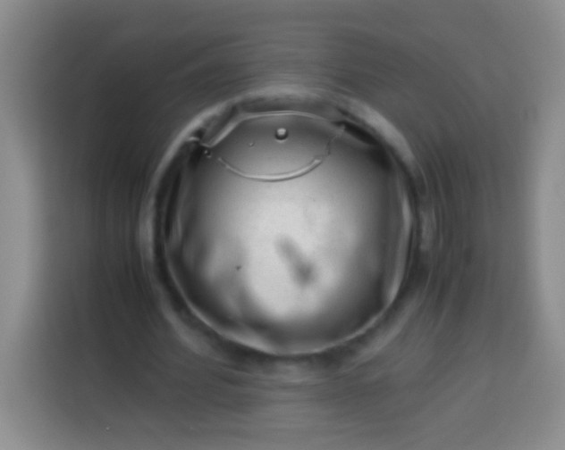 X0000113540580200910021351