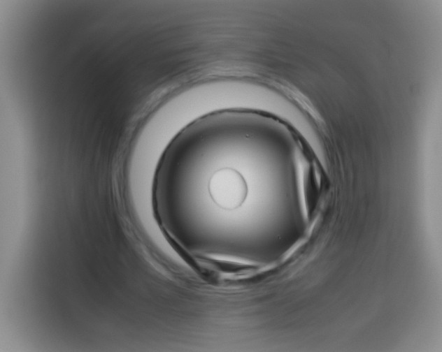 X0000113540581200910021351