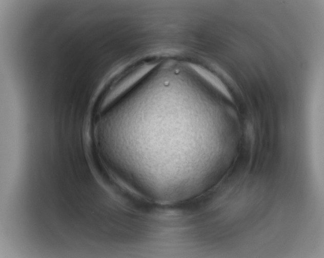 X0000113540582200910021351