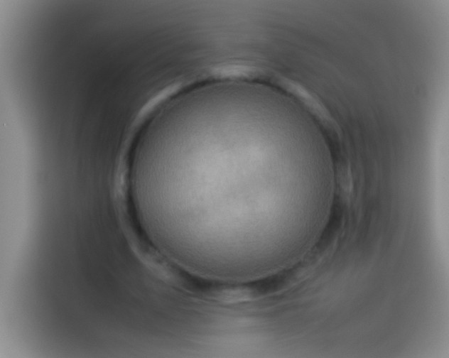 X0000113540583200910021351