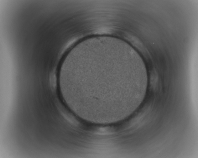 X0000113540584200910021351