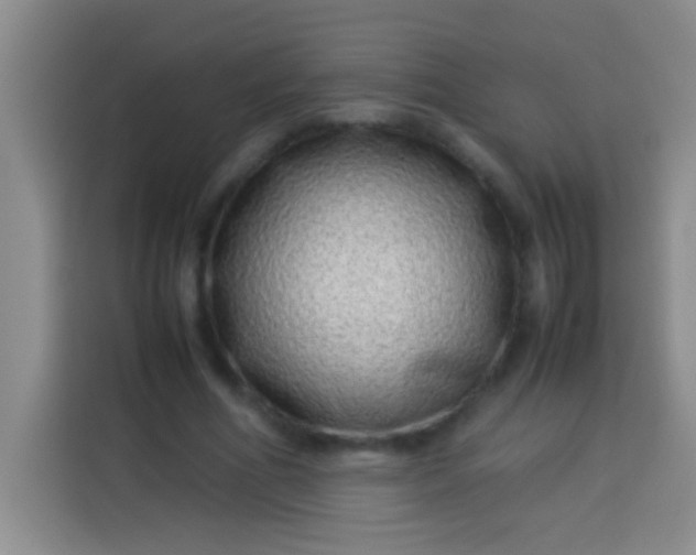 X0000113540586200910021351