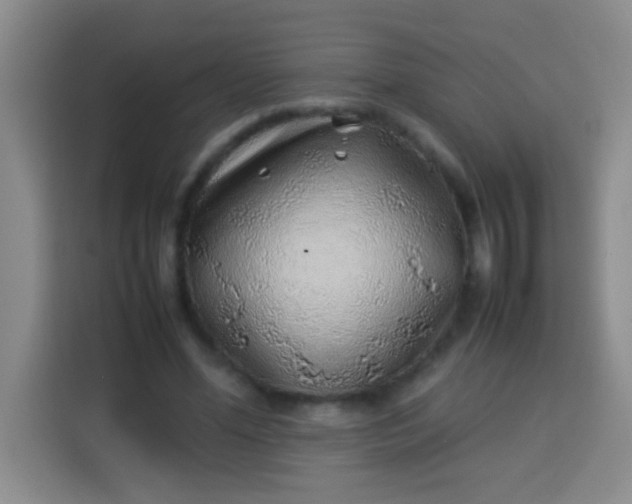 X0000113540588200910021351