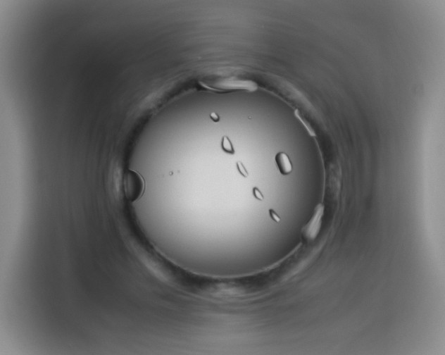 X0000113540589200910021351