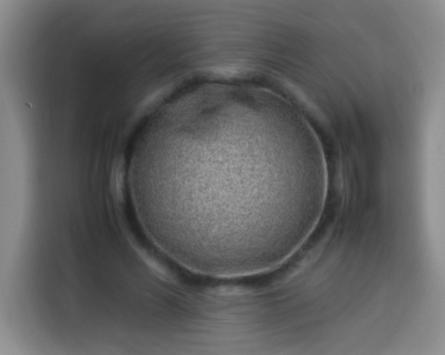 X0000113540590200910021351