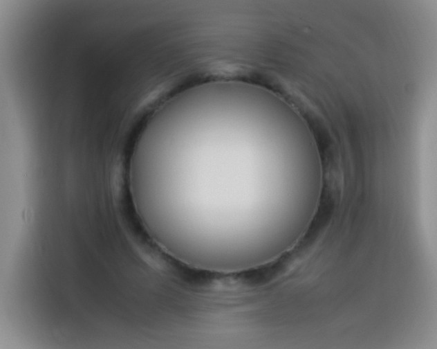 X0000113540591200910021351