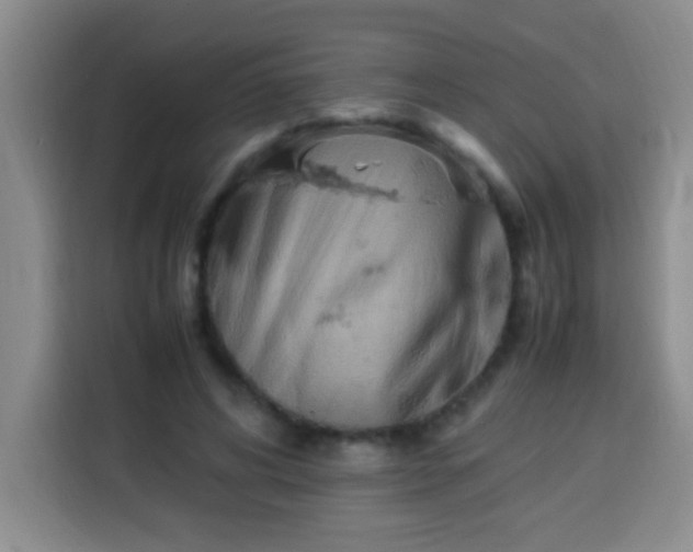 X0000113540592200910021351