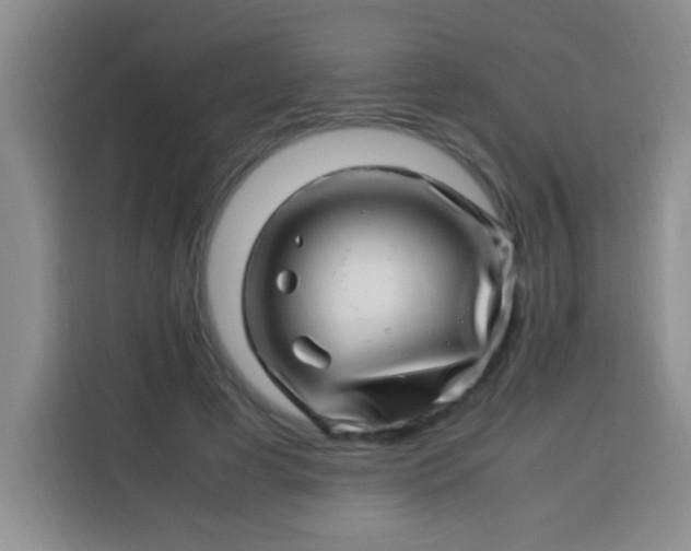 X0000113540593200910021351